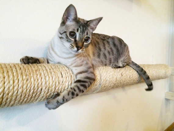 A1Savannahs Cat Furniture by Catastrophicreations