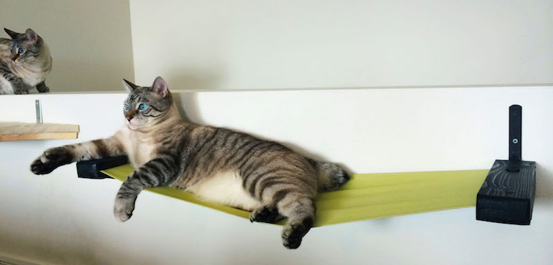 A1Savannahs Cat Floating Cat Hammock by catastrophicreations