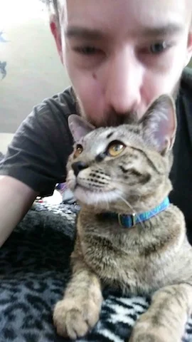 A1Savannahs Ramey getting all of her humans attention