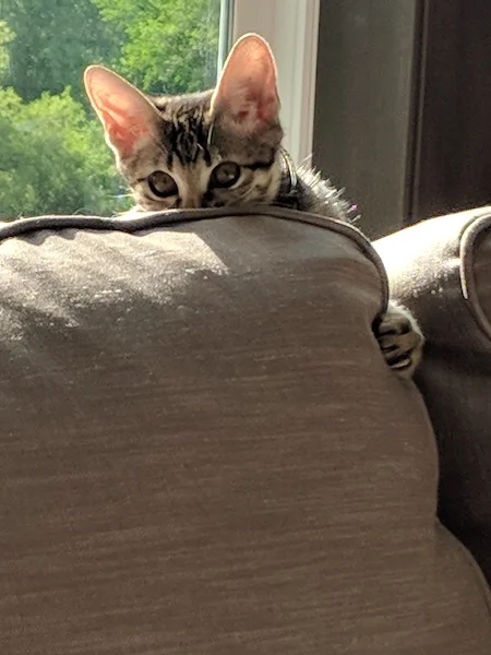 ImTHEcutestthing.jpg
