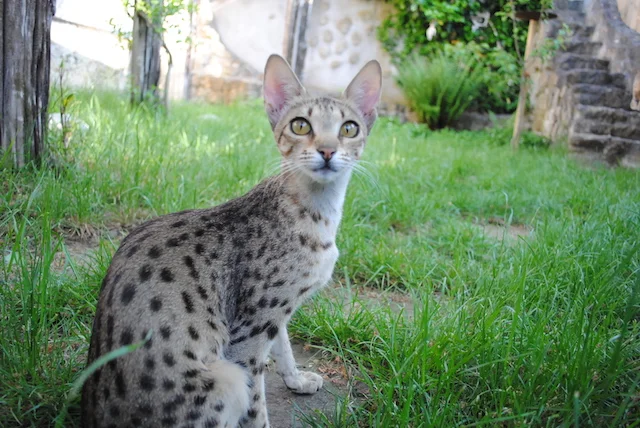 The stepping stones are a great place for SBT Carley to take a moment to sit