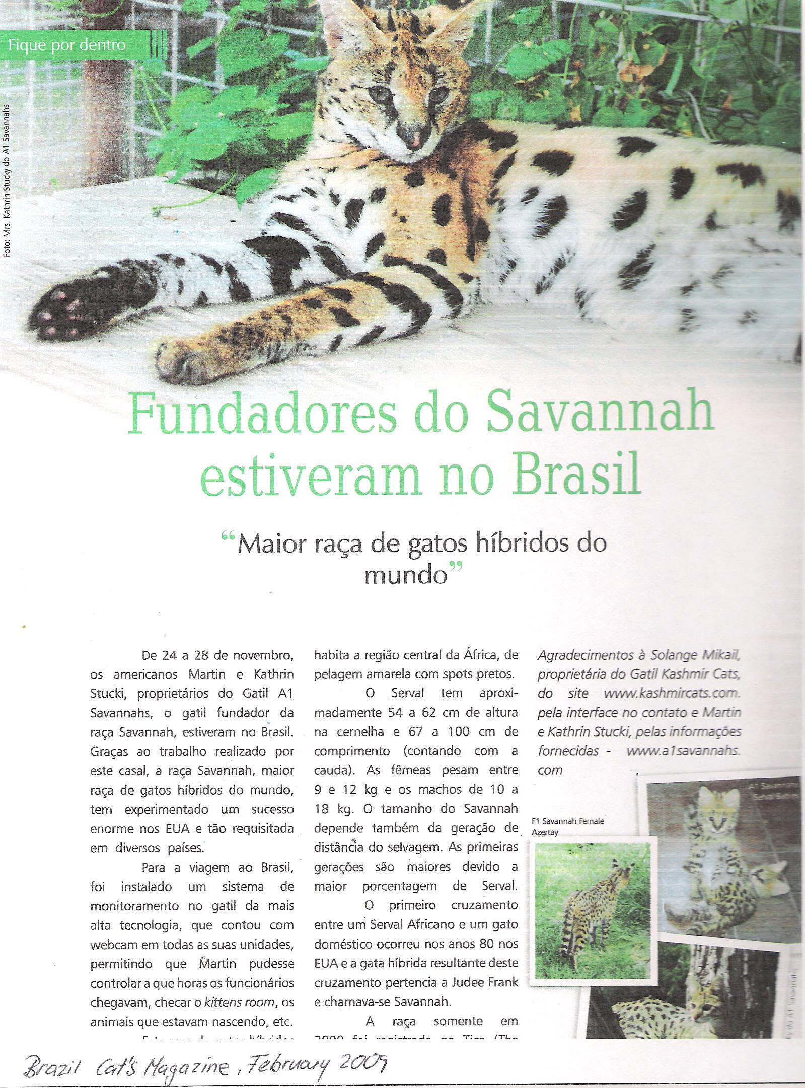 A1Savannahs Brazil Cat Magazine page 1