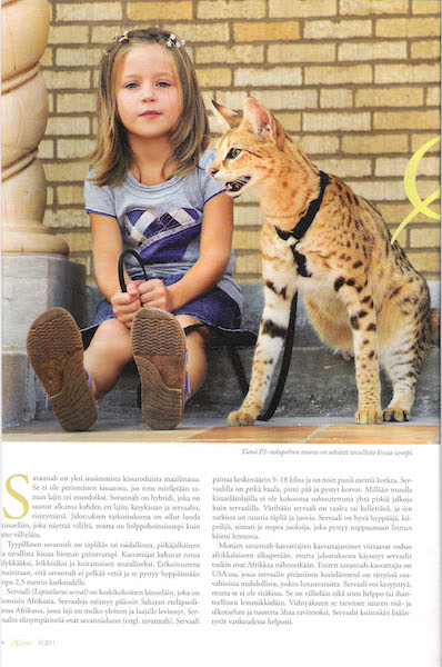 March 2010 - Kissa Magazine about A1Savannahs page 1