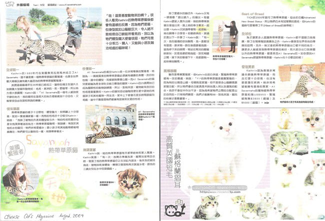 August 2009 - Chinese Cat's Magazine about A1Savannahs