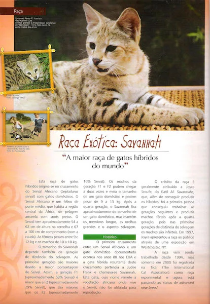 December 2011 - Pulo do Gato Edition 44