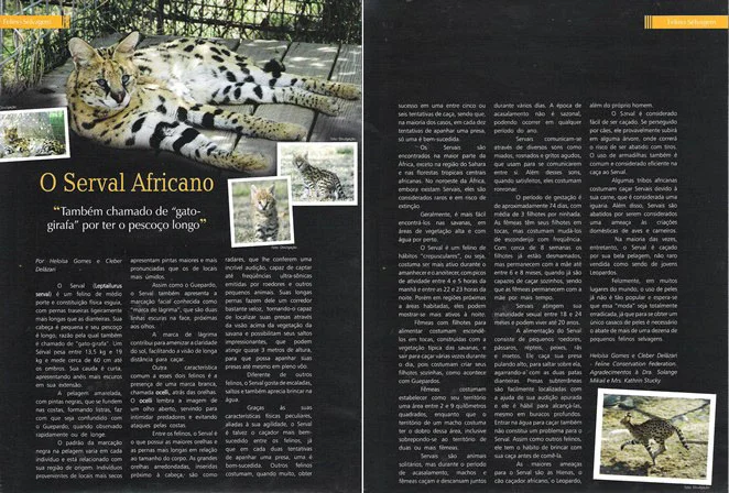 January 2011 - Pulo do Gato Edition 34