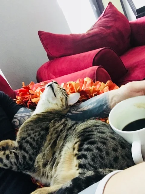 A1Savannahs f5 beaux sleeping