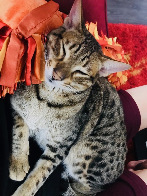 f5 beaux sleeping