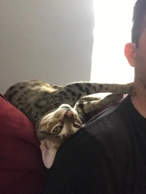 f5 Beaux is resting his head on dad's shoulder