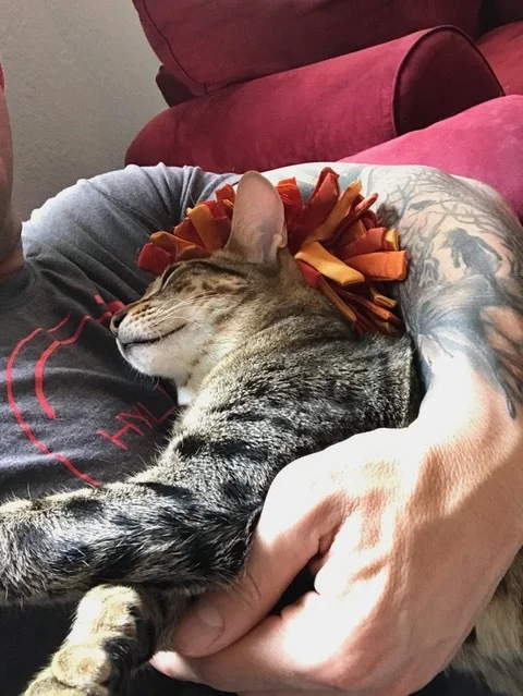 f5 Beaux is curled up in dad's arms