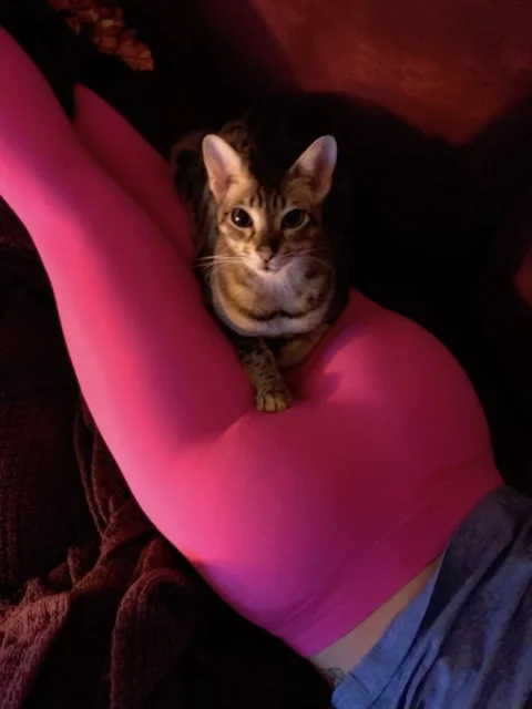 Resting on mom F5 Beaux 