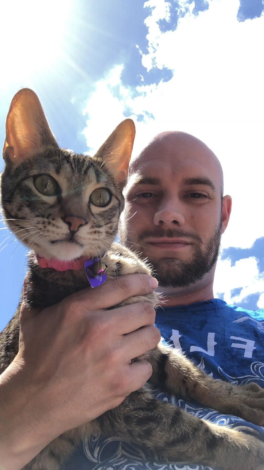 A1Savannahs F3 Elsie showing off those large ears outside with her dad