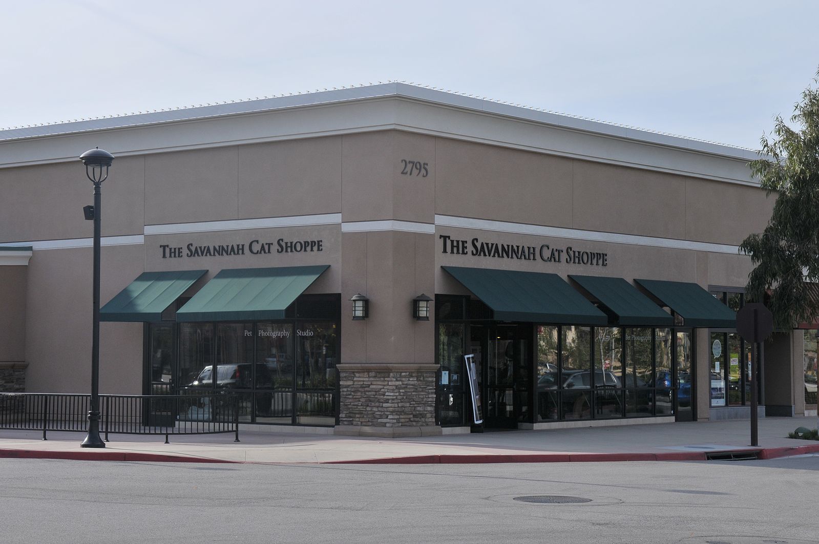 A1Savannahs The Savannah Cat Shoppe