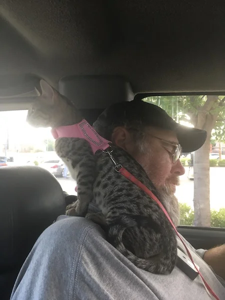 A1Savannahs F3 Italia going for a car ride