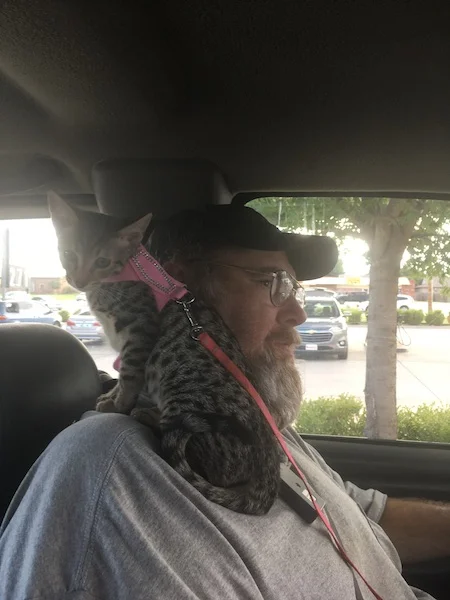 F3 Italia loves to be with dad