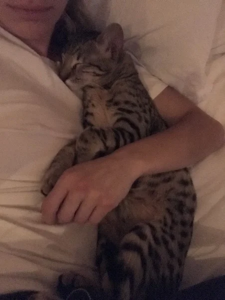 F4 Alexander getting snuggles from mom