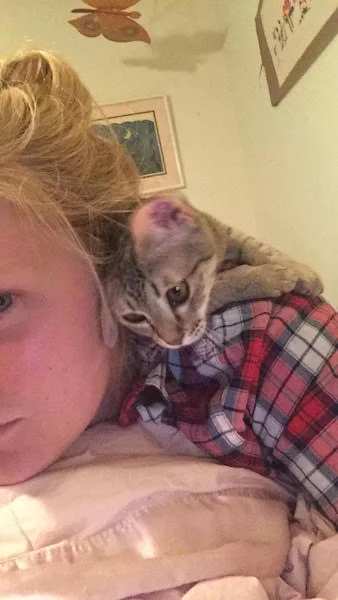 F4 Olivia snuggling with human sister