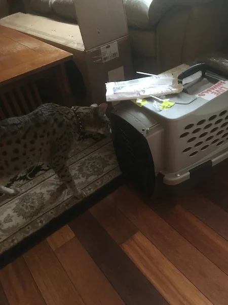 time to come out and see your new home SBT Coby