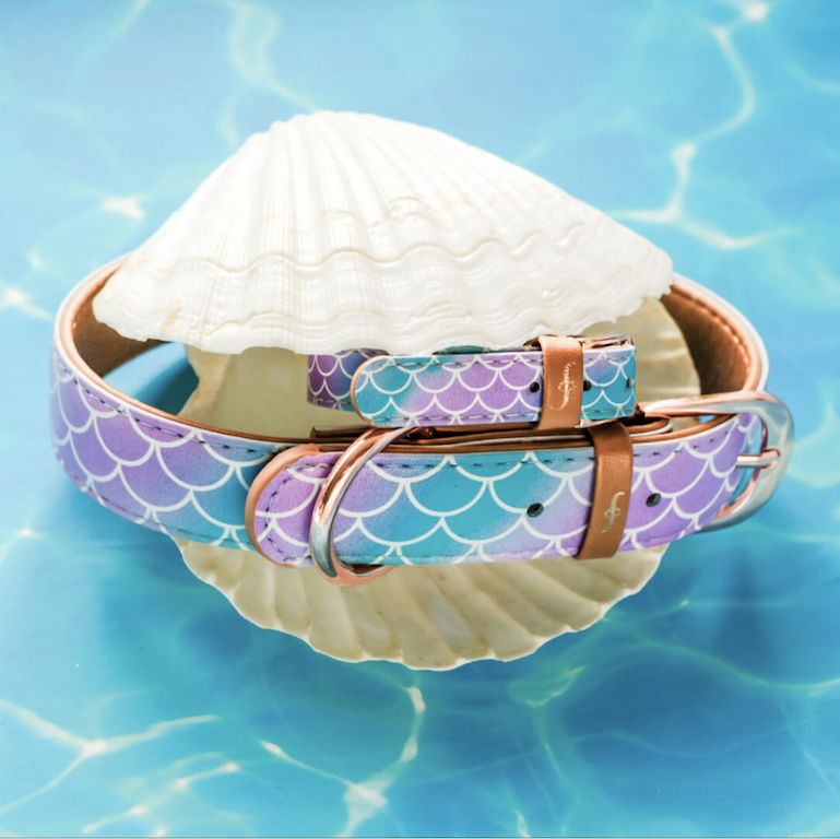 mermaid shell.png