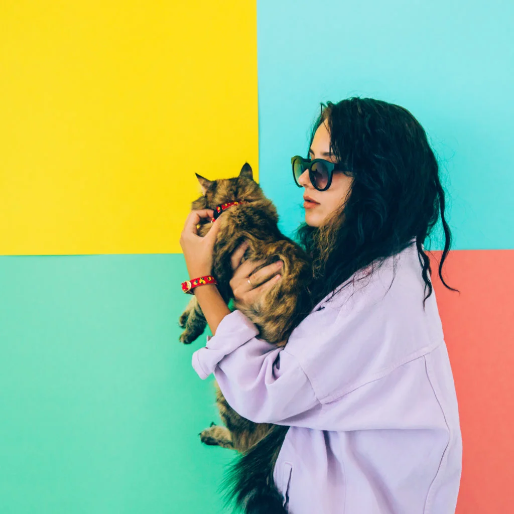 lemonade cat collar 3.jpg