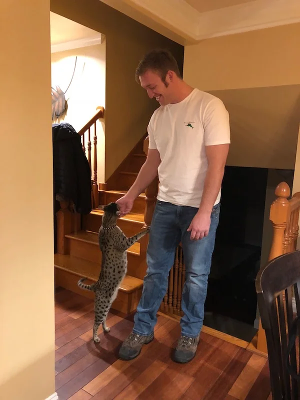F2 Loki showing his dad how tall he is