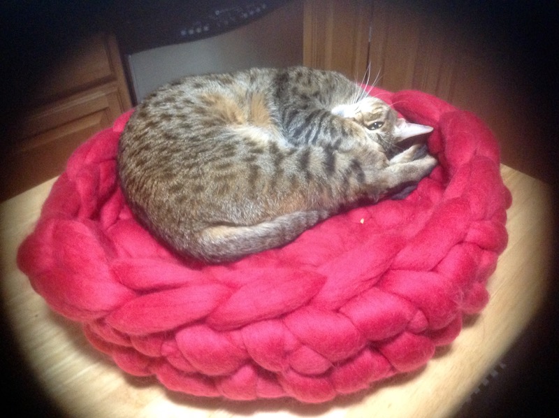 Savannah cat in Merino wool cat bet