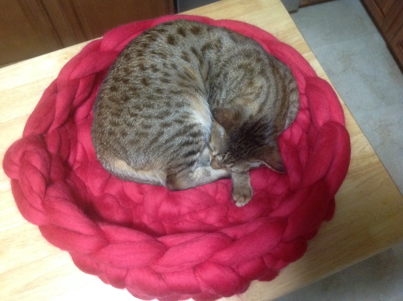 Merino wool cat bed for Jax