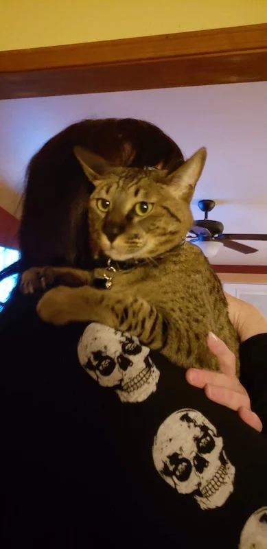 A1Savannahs Gabe always ready for hugs