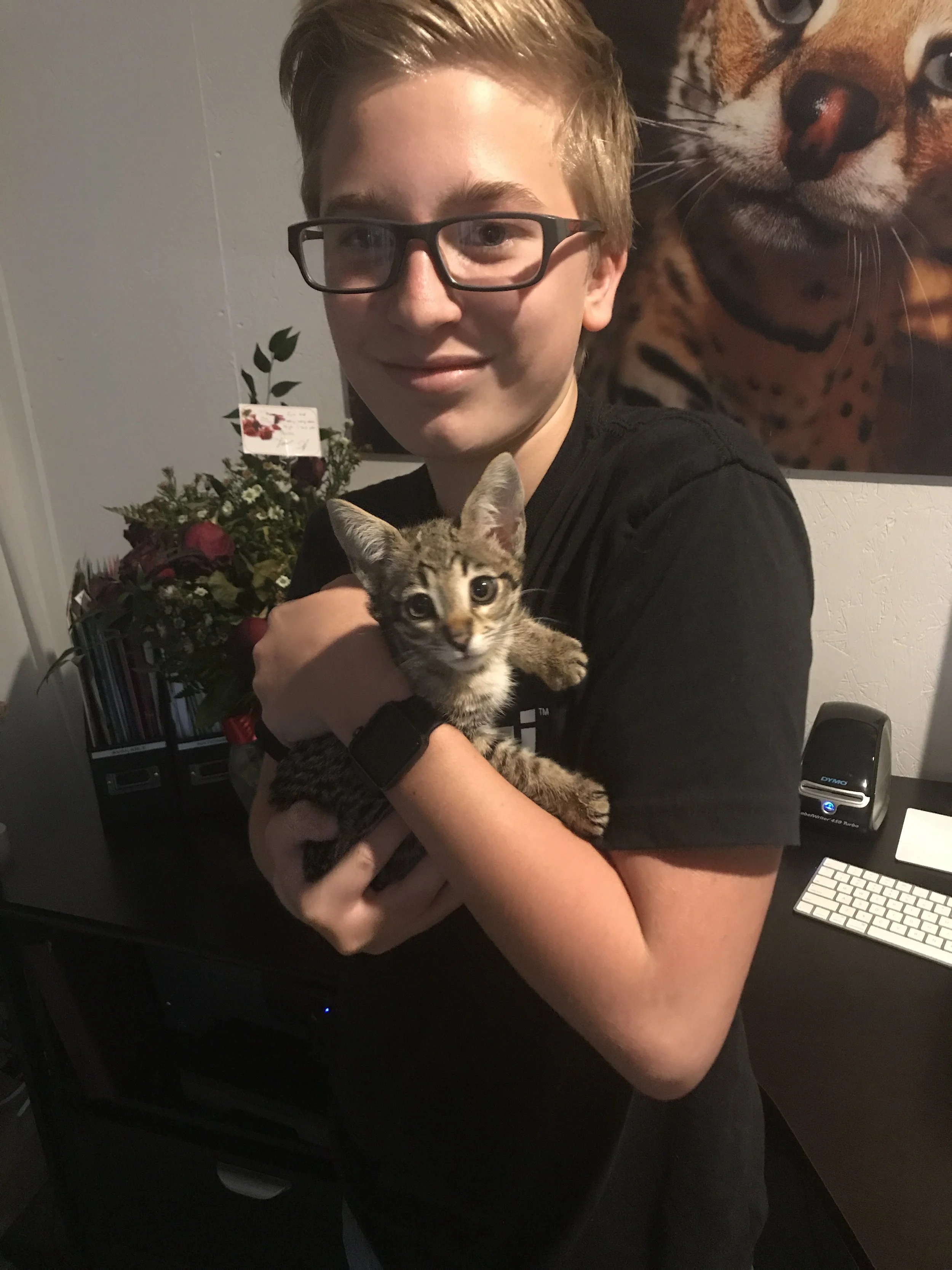 A guide to teaching your children how to safely handle a cat — A1 Savannahs