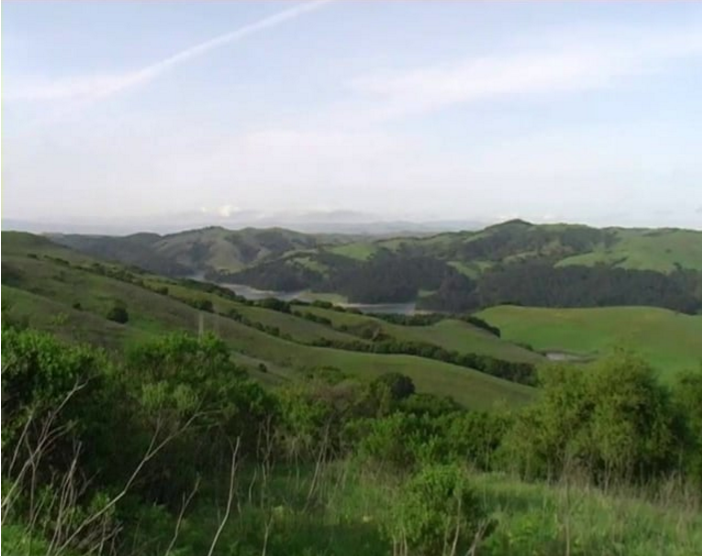 a nice view, 2007
