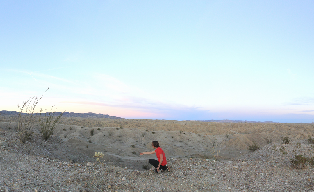 closer than this (cactus), 2011 chromogenic print, 124.5cm x 76cm / 49" x 30"