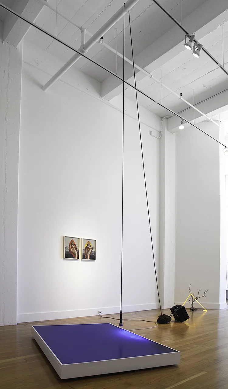 consequences of everything else, 2016 chromogenic transparency in light box, microphone, Roland amplifier, rock, dimensions variable installation documentation with "contingency of an afterthought". FraenkelLAB, San Francisco, 2016