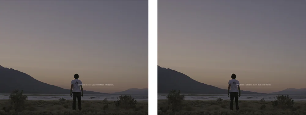like you (sometimes/othertimes), 2008