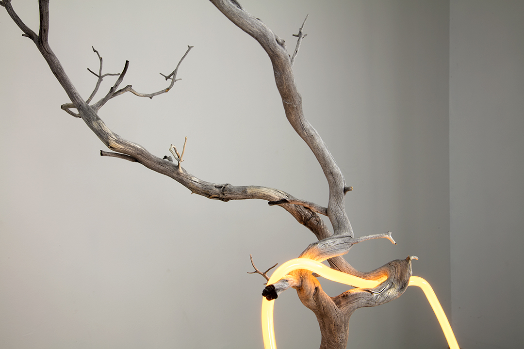 an outline of a thought as it refers to its inner self #5, 2018 neon, found branch, modified rock, custom shaped pedestal, 76cm x 143cm x 89cm / 30" x 56" x 35"