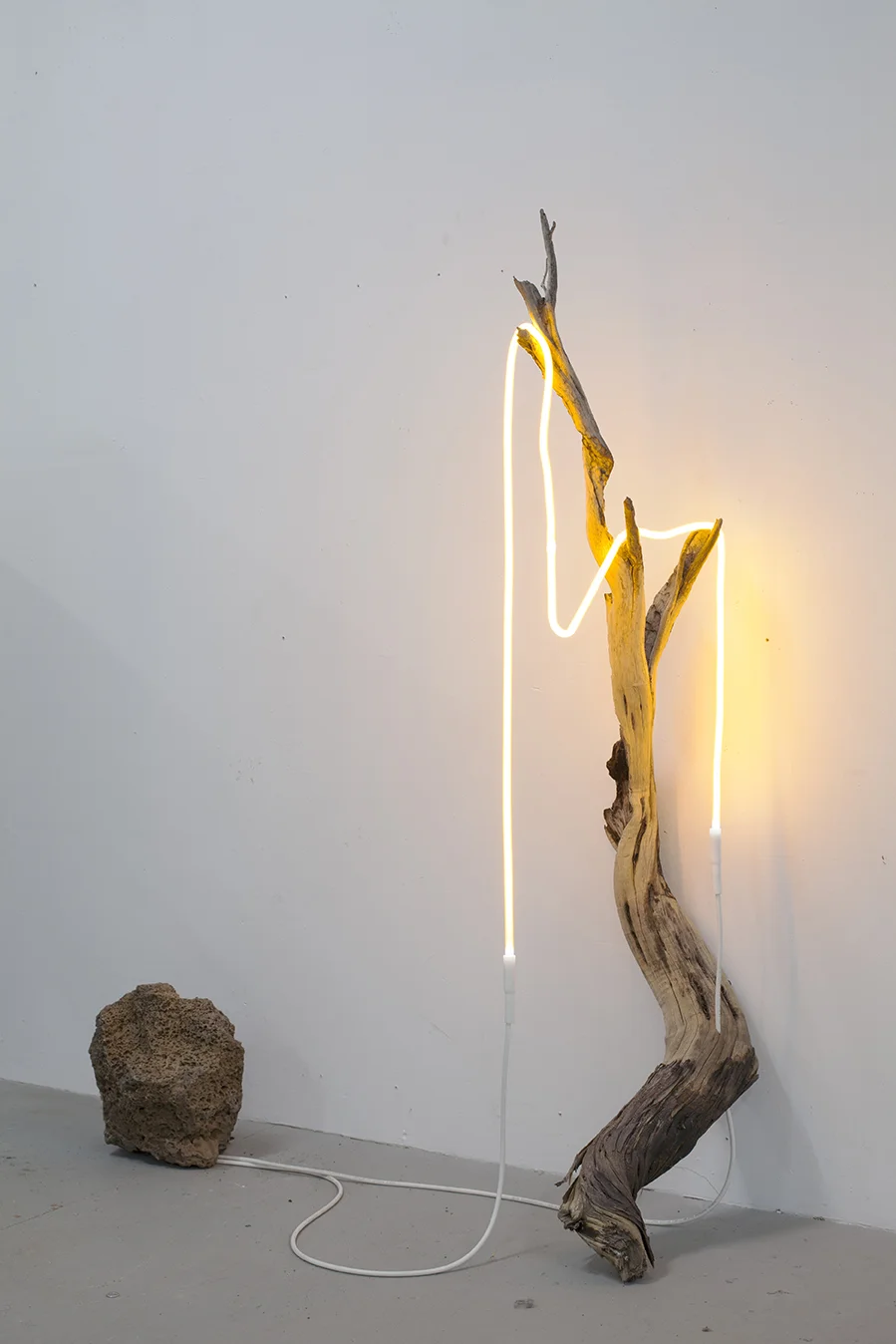 the thought of an outline as it refers to its outer self #1, 2019 neon, found branch, modified rock, 114cm x 135cm x 38cm / 45" x 53.25" x 15"