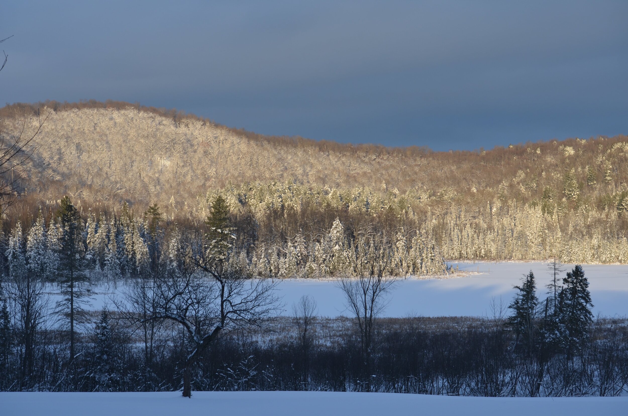 "Fell Year" on The Clearing