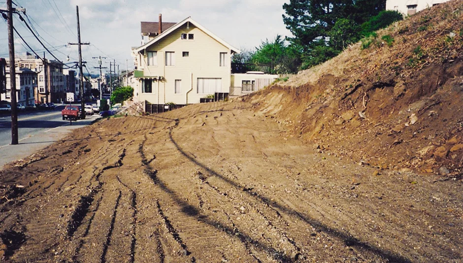 Garden for the environment, looking north, 1992