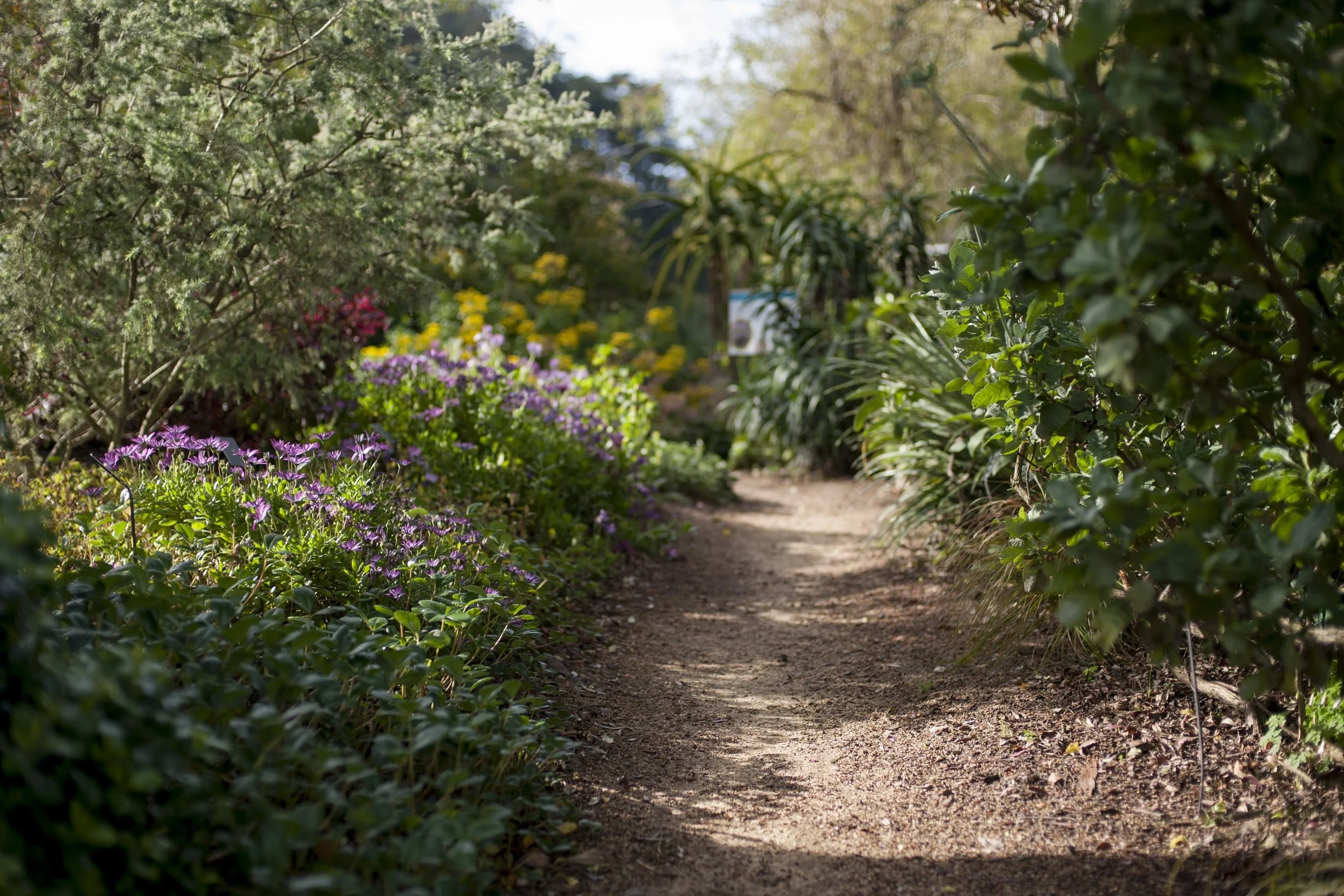 The water-wise demonstration garden at GFE.