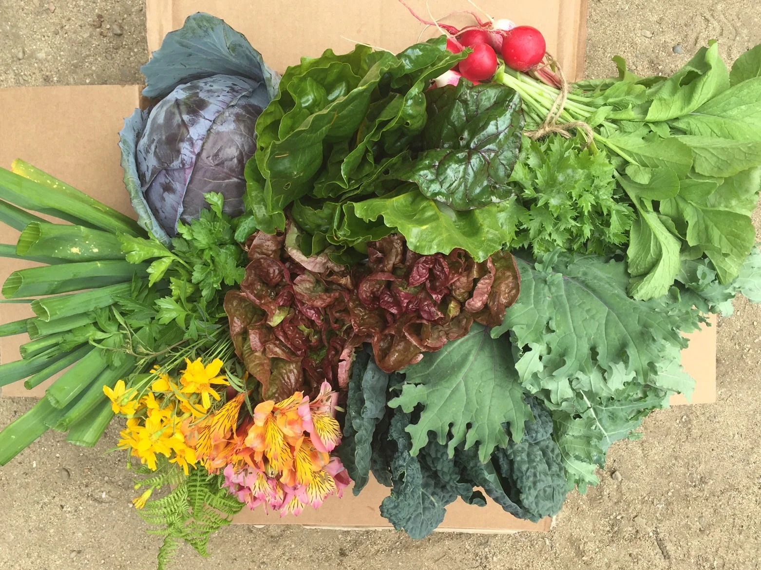 Harvest box is ready to go.