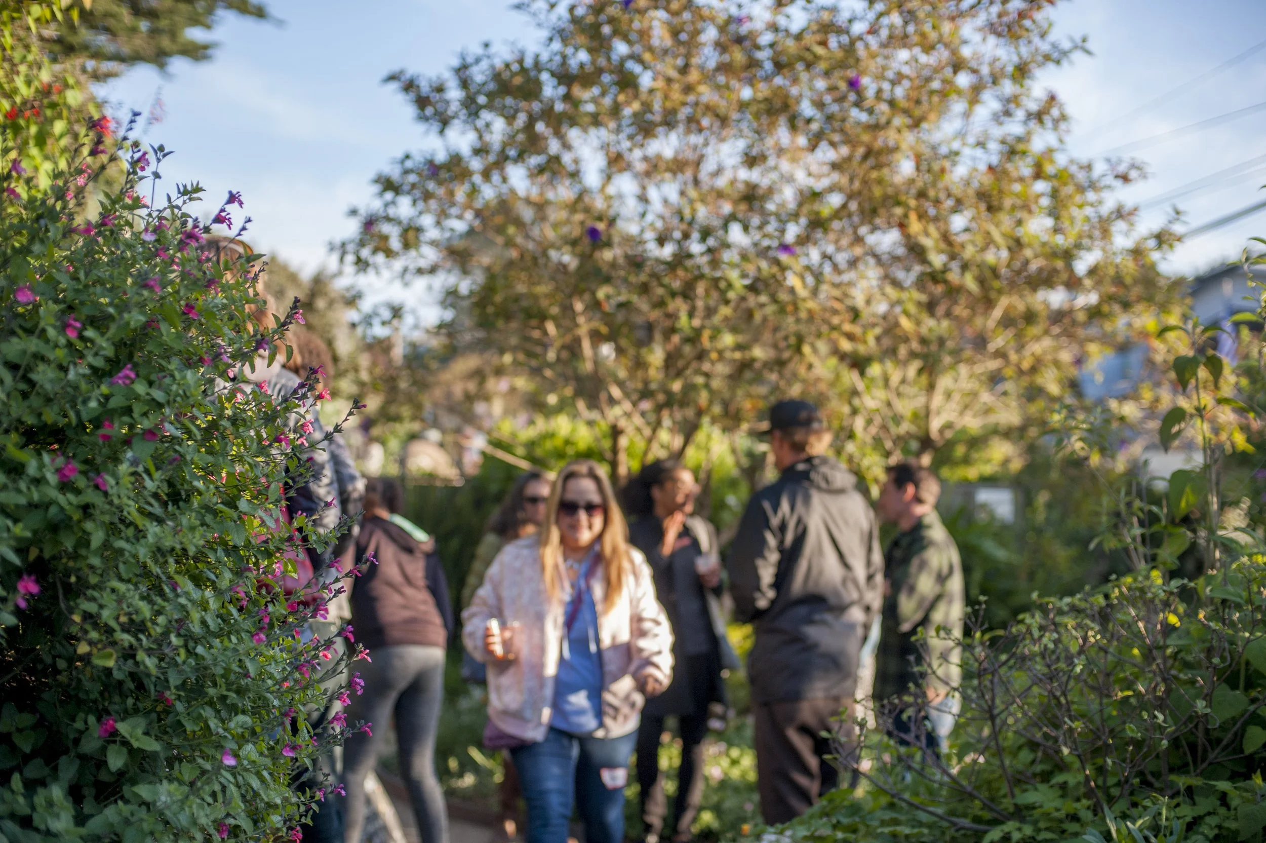 People enjoying the natural beauty of the garden.