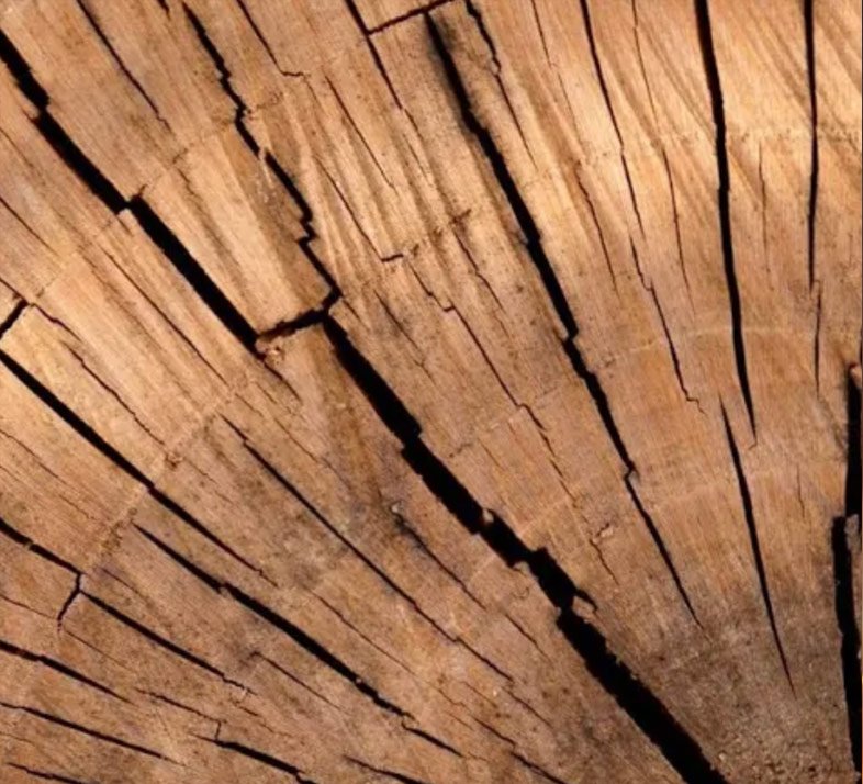 wood5EY.jpg