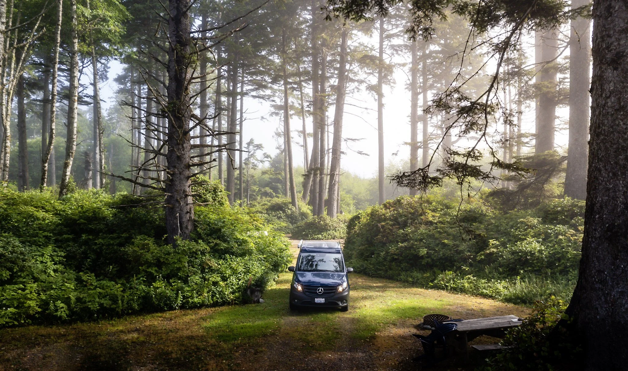 WHY YOU SHOULD RENT A CAMPER VAN WITH US
