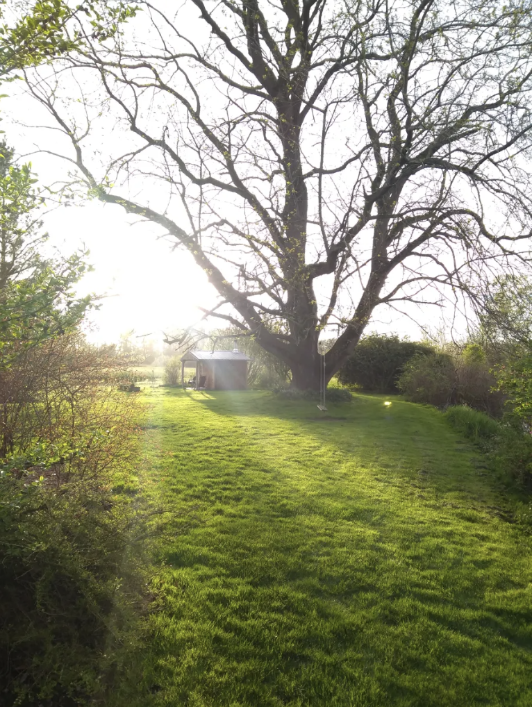 Discover Our Newest Peace Vans Campsite