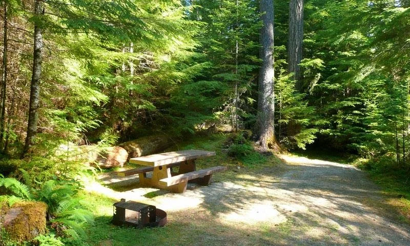 22015_20248_Heart_of_the_Hills_Campground_Olympic_Park_lg.jpg