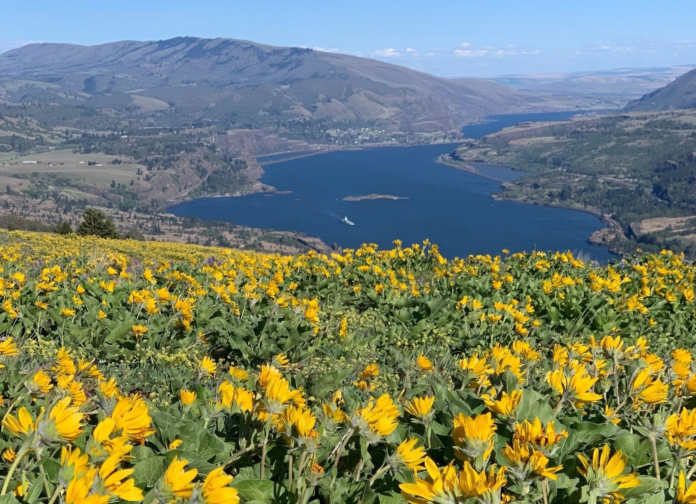 Hiking in the Columbia Valley