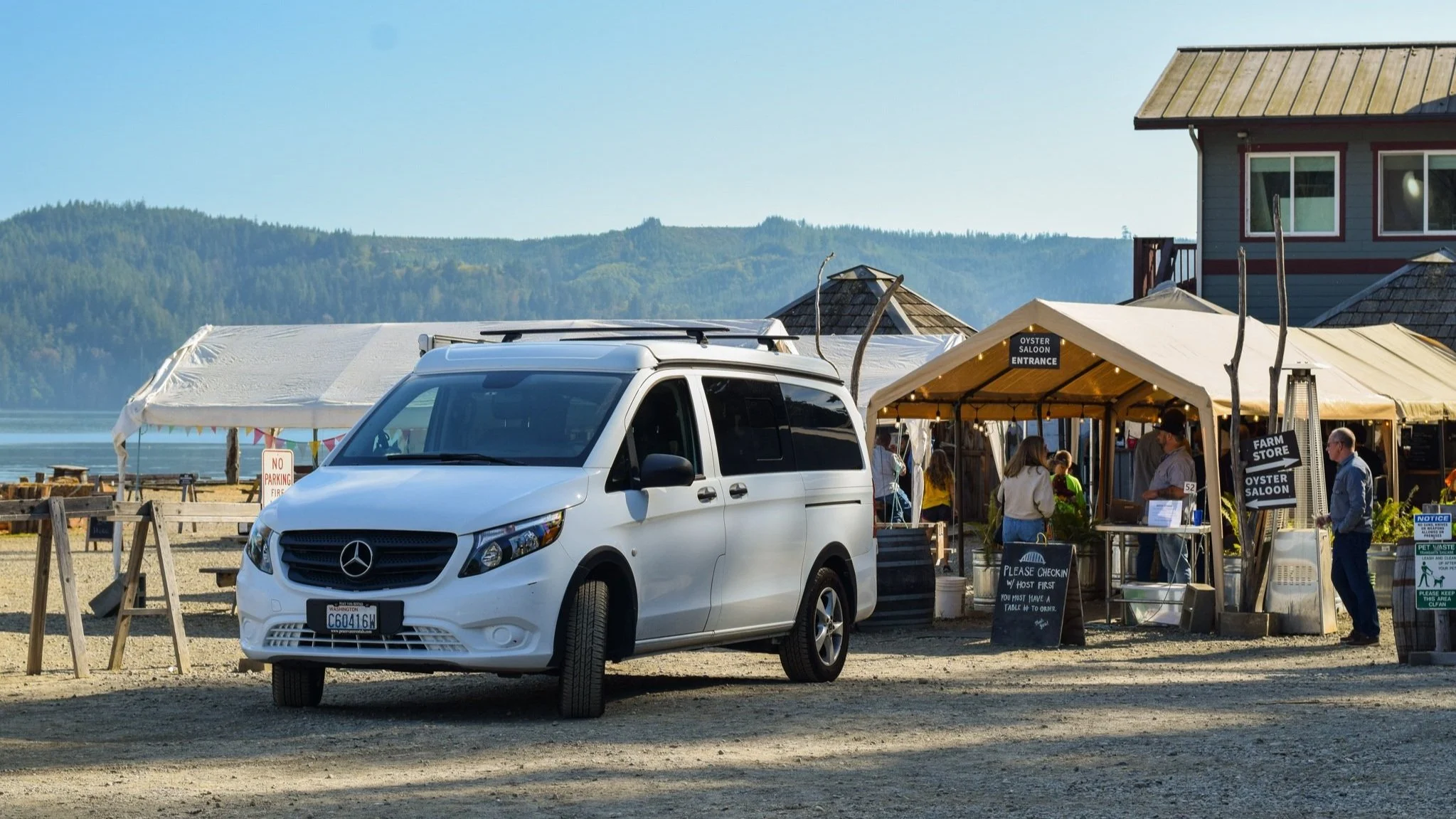 All About Oysters | How to Shuck Oysters — Peace Vans