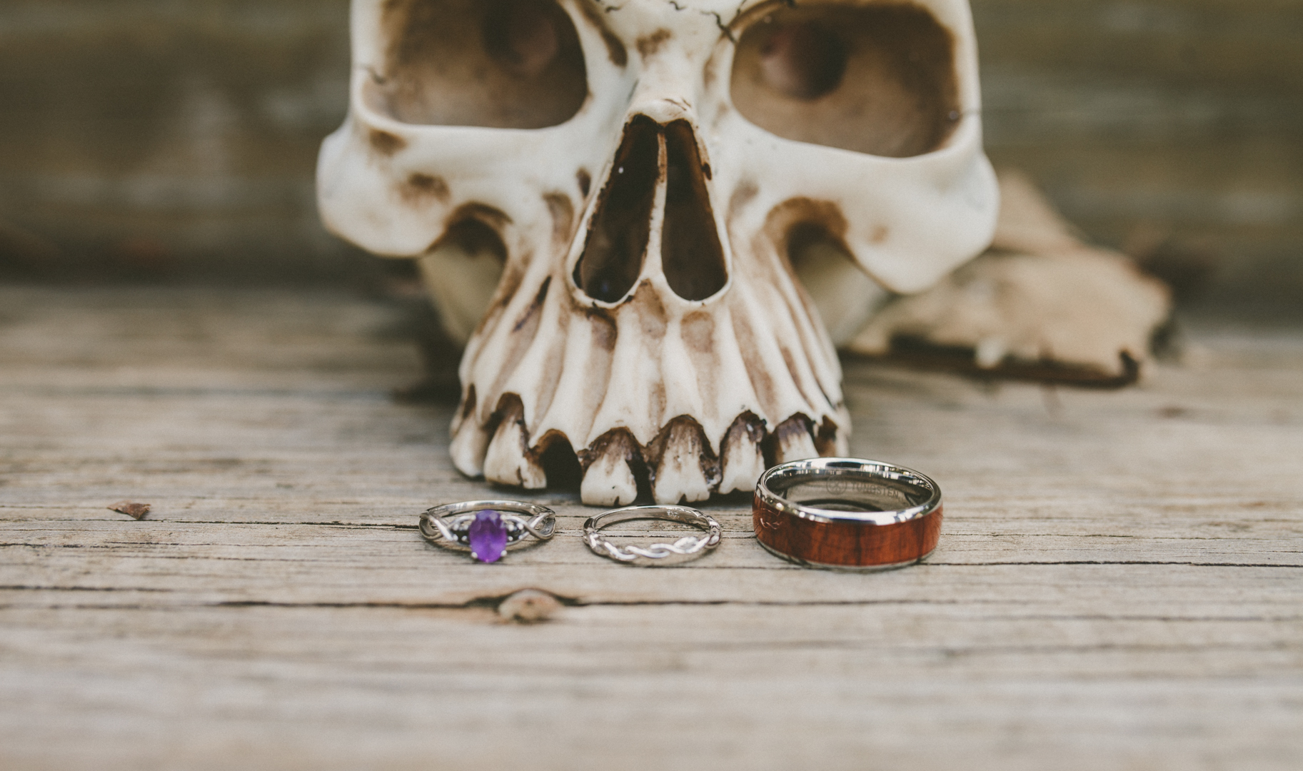 Mike&Hannah_HalloweenWedding-1.jpg
