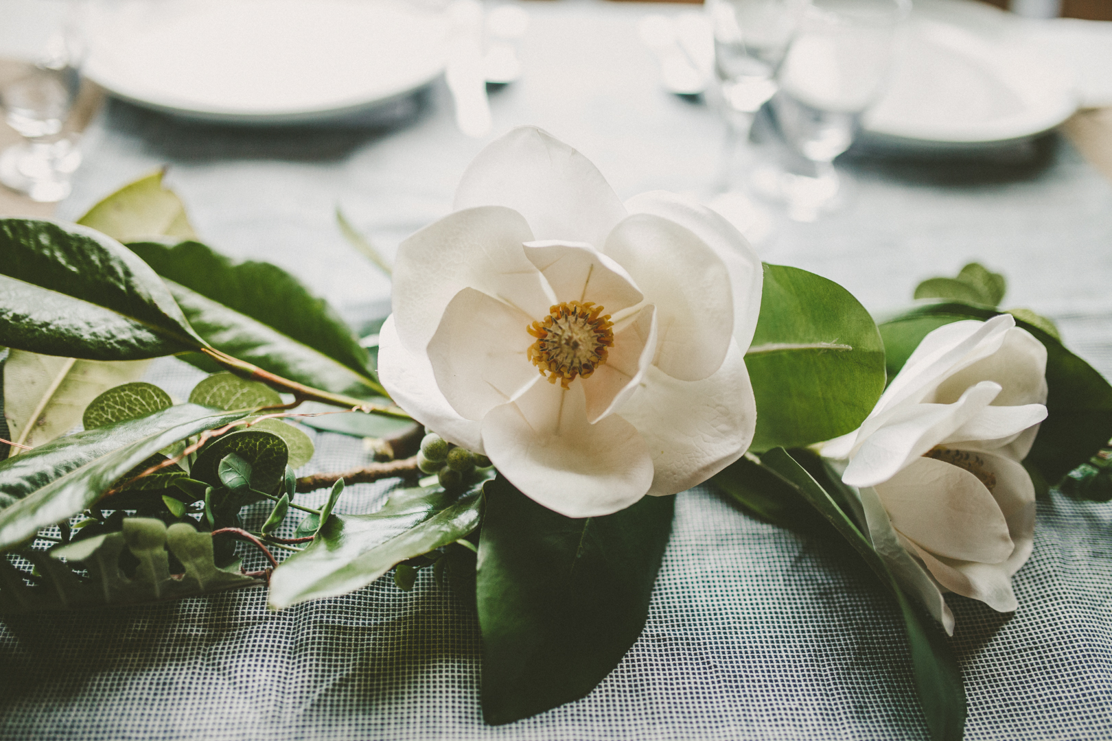 Grace&Scott-1.jpg