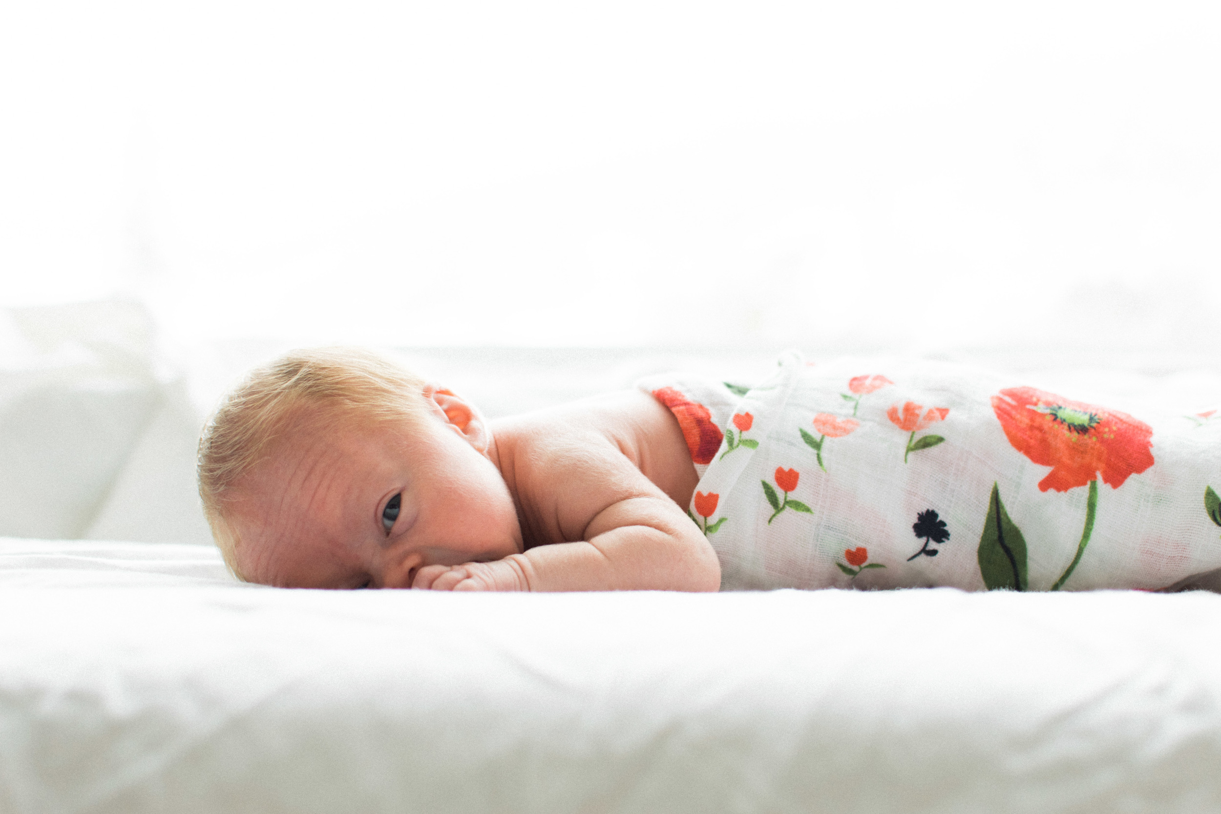 Newborn Photographer, Davis County, Utah