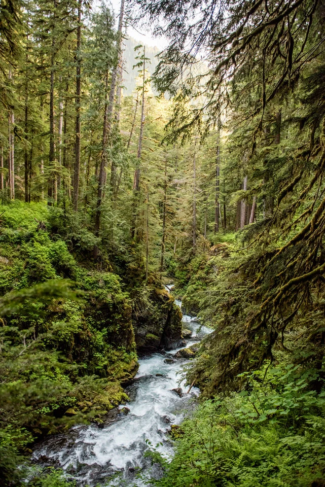 DSC_8550.JPG